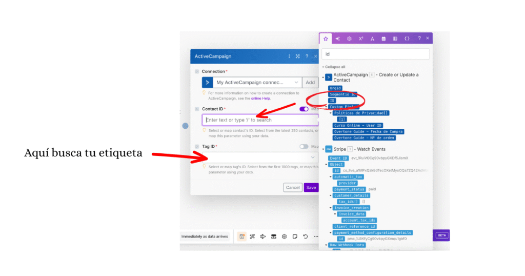 Métricas Claras - sincronizar stripe con tu gestor de email marketing paso 16v